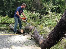 Best Seasonal Cleanup (Spring/Fall)  in , ME